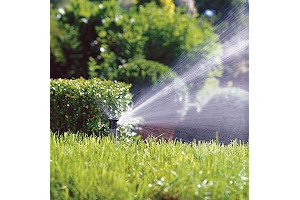 71C-q9HywcL._AC_UL320_