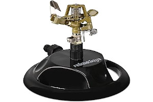 71O-ntL9N+S._AC_UL320_