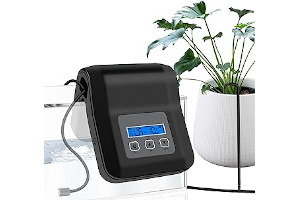 71uIcyTeV5L._AC_UL320_