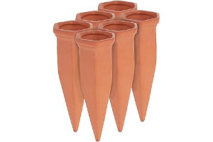 81rVjvamhCL._AC_UL320_